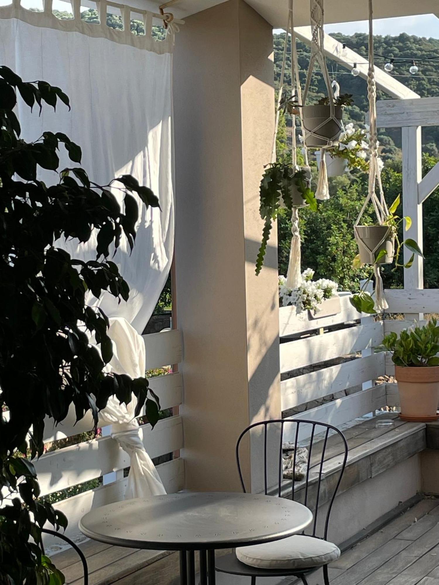 La Pecora Nera B&B Budoni Bagian luar foto